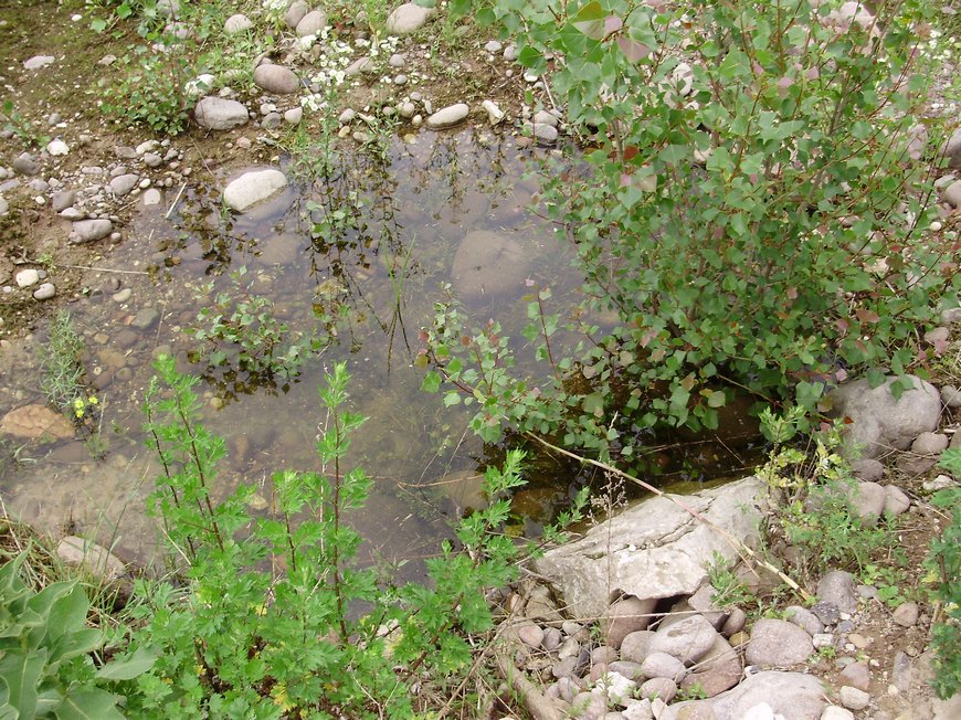 La Valle dell''Adige e l''ululone